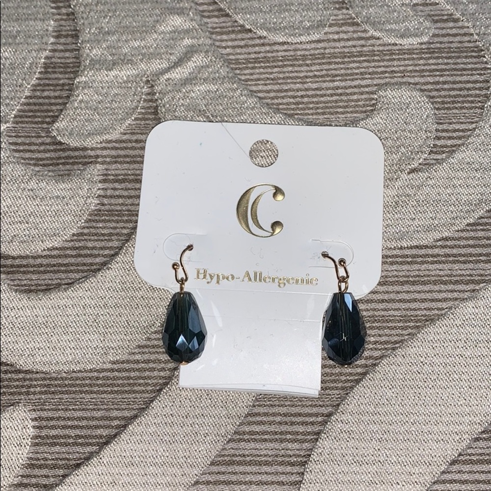 ⭐️ Charming Charlie gold and blue earrings